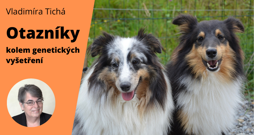genetika psů
